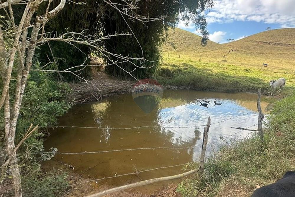 Chácara / Sítio / Fazenda - Venda - Lima Duarte , Minas Gerais - c76ec530-f5ce-455d-a3fc-280b57dec8e4.JPG - 860291033-133