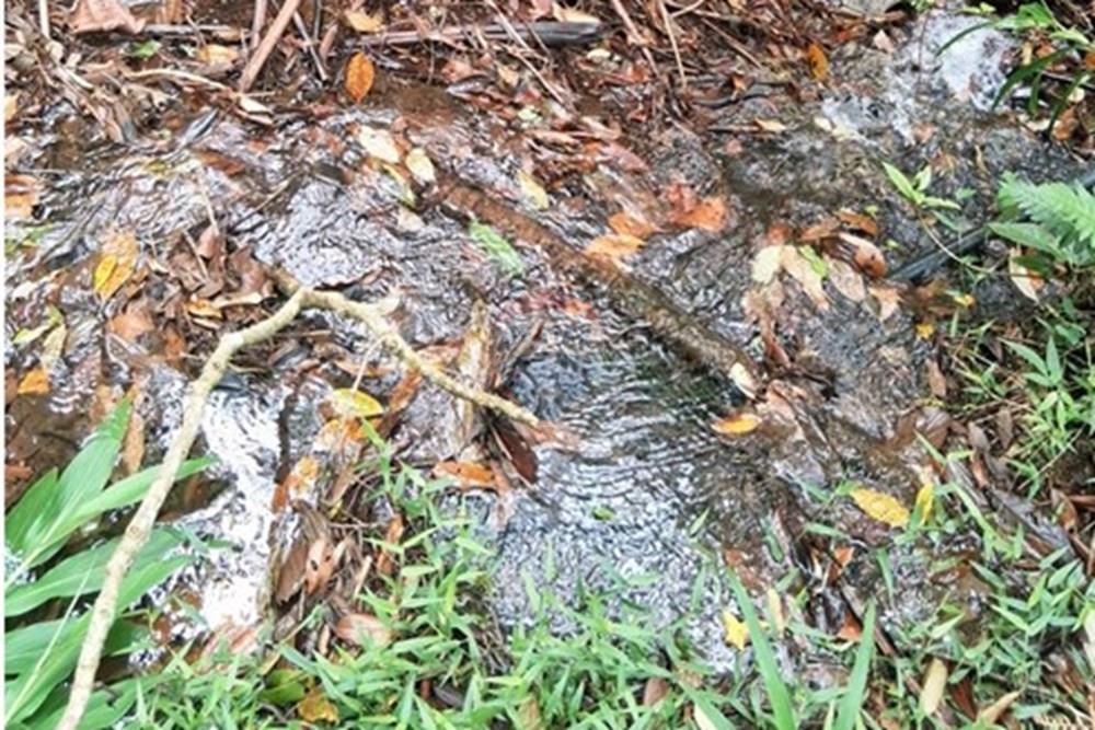 Chácara / Sítio / Fazenda - Venda - Rio Preto , Minas Gerais - WhatsApp Image 2026-01-10 at 15.07.45.jpeg - 860281098-67