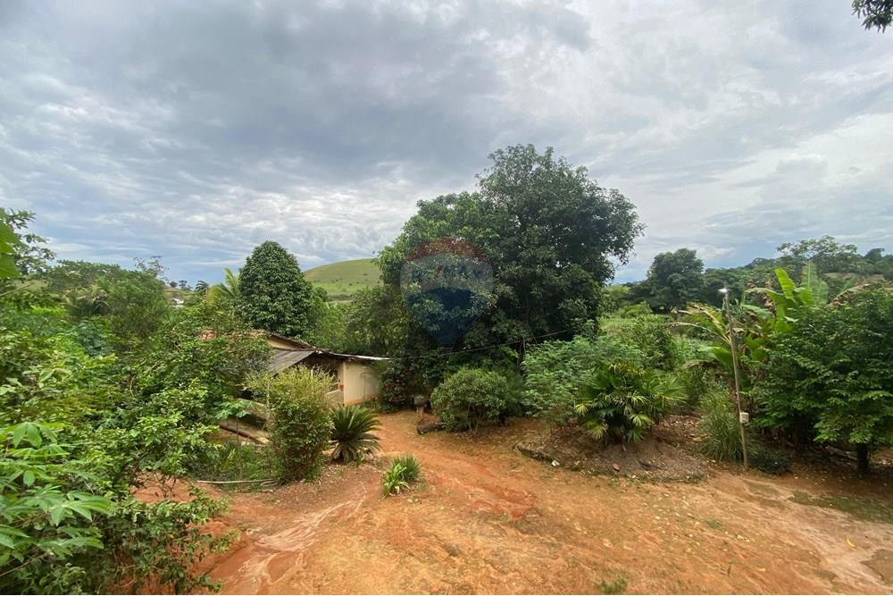 Chácara / Sítio / Fazenda - Venda - Muriaé , Minas Gerais - WhatsApp Image 2025-03-24 at 16.21.12.jpeg - 860371002-116