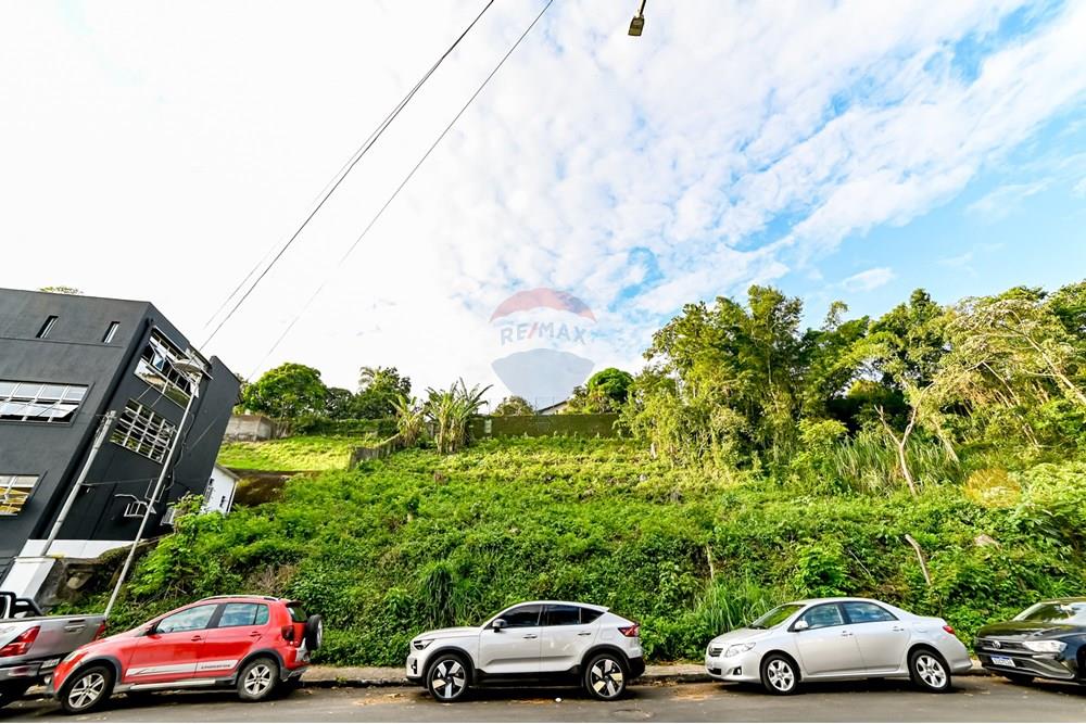 Terreno - Venda - Juiz de Fora , Minas Gerais - michaelseed.photo_ABRIL SEMANA 3-179.jpg - 860281136-6