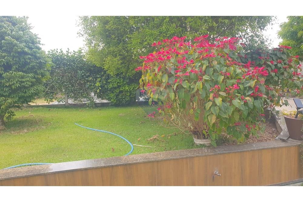 Chácara / Sítio / Fazenda - Venda - Barbacena , Minas Gerais - WhatsApp Image 2025-11-17 at 14.43.28 (9).jpeg - 860391028-24