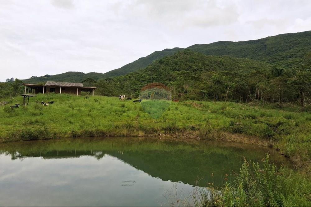 Chácara / Sítio / Fazenda - Venda - Rio Preto , Minas Gerais - WhatsApp Image 2026-01-10 at 15.07.31.jpeg - 860281098-65