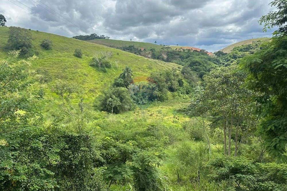 Terreno - Venda - Matias Barbosa , Minas Gerais - 39e6938a-2919-4b87-bf18-1c1f2cc78230.JPG - 860291033-86