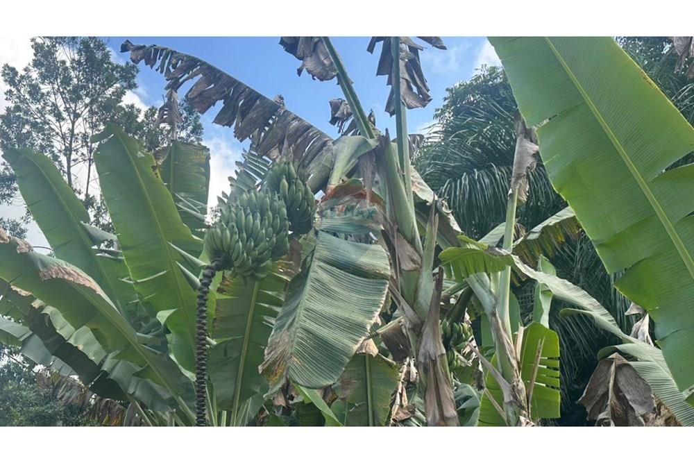 Terreno - Venda - Juiz de Fora , Minas Gerais - 70ecb9df-2643-4e6b-9956-5b86a8499b13.JPG - 860291033-112