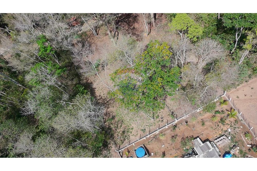 Terreno - Venda - Juiz de Fora , Minas Gerais - michaelseed photo_1103-24.jpg - Cozinha - 860211074-39