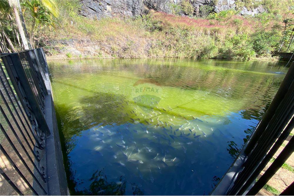 Apartamento - Alugar - Juiz de Fora , Minas Gerais - 36 - 860301009-506