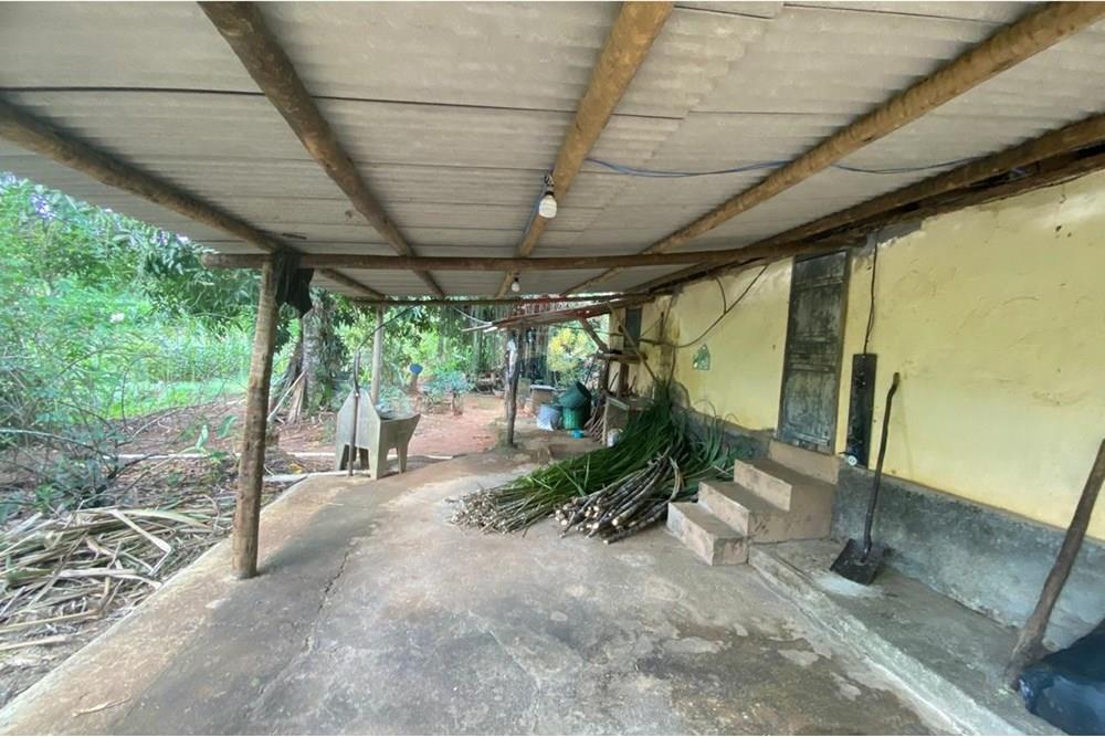 Chácara / Sítio / Fazenda - Venda - Muriaé , Minas Gerais - WhatsApp Image 2025-03-24 at 12.32.20 (6).jpeg - 860371002-116