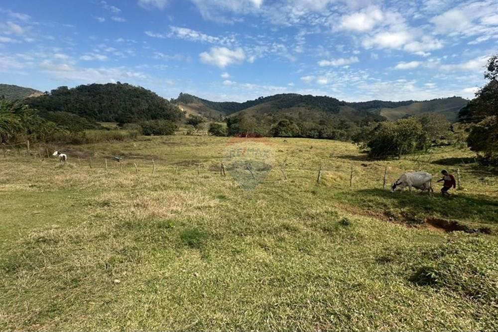 Chácara / Sítio / Fazenda - Venda - Lima Duarte , Minas Gerais - 9dd4fab0-3f06-4512-b44a-dd961ac4b94b.JPG - 860291033-133