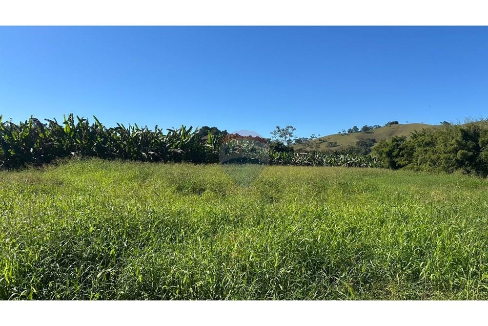 Terreno - Venda - Piau , Minas Gerais - b9455f3f-52a5-4236-b671-30e37755c071.jpg - 860211053-60