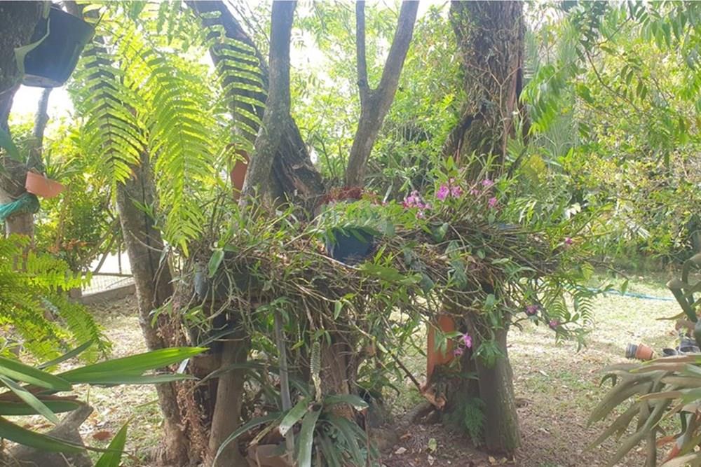 Chácara / Sítio / Fazenda - Venda - Barbacena , Minas Gerais - WhatsApp Image 2025-11-17 at 14.43.28 (16).jpeg - 860391028-24