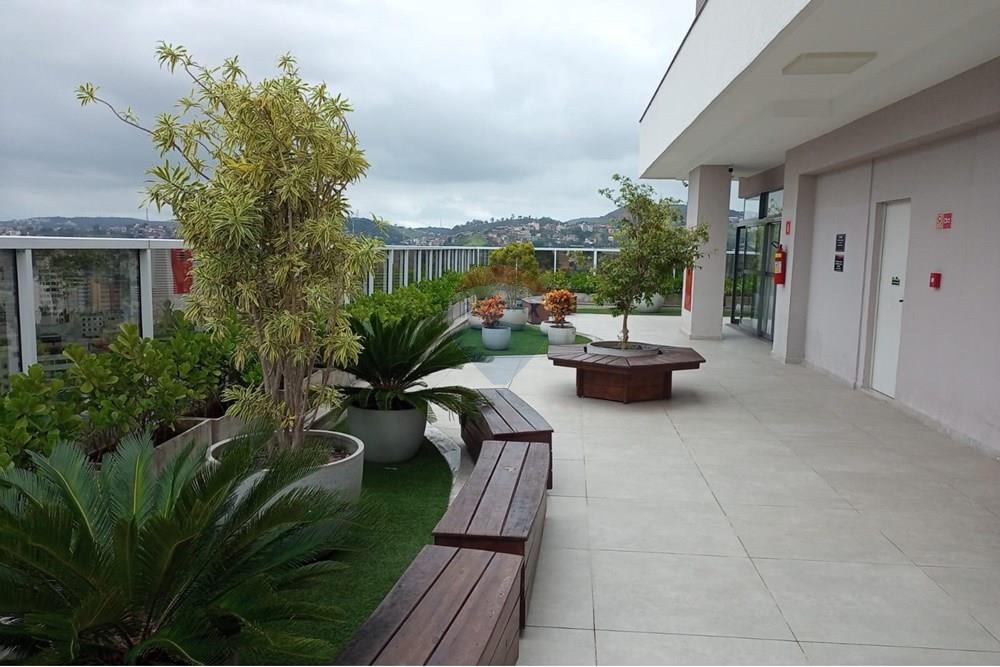 Studio - Alugar - Juiz de Fora , Minas Gerais - IMG-20240324-WA0056.jpg - Solário - 860431031-36