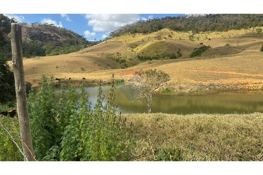 Chácara / Sítio / Fazenda - Venda - Leopoldina , Minas Gerais - WhatsApp Image 2025-09-22 at 10.32.47.jpeg - 860291033-118