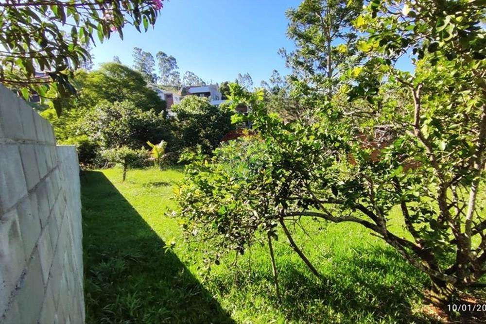 Terreno - Venda - Juiz de Fora , Minas Gerais - WhatsApp Image 2026-01-14 at 21.14.jpeg - 860211144-2
