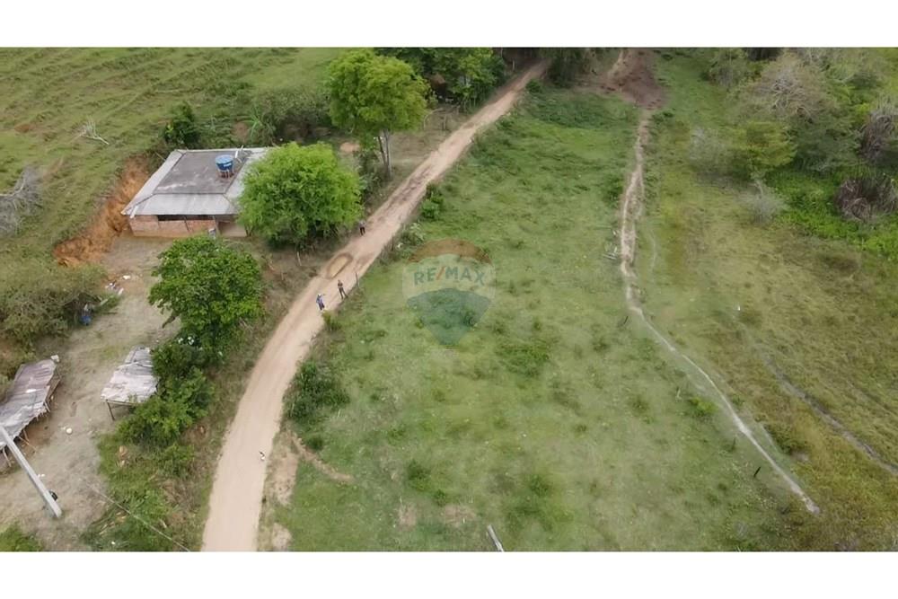 Terreno - Venda - Barão de Monte Alto , Minas Gerais - dji_fly_20251207_080226_0_1765105346643_photo_low_quality.jpg - 860371002-205