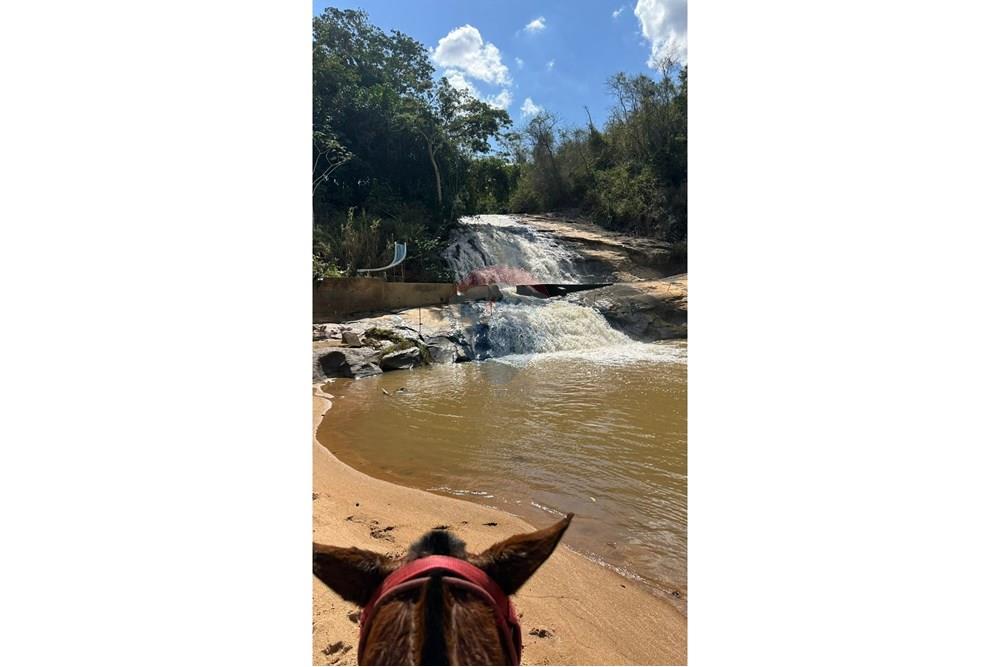 Chácara / Sítio / Fazenda - Venda - Cantagalo , Rio de Janeiro - 13f6bd2d-4e90-4a21-a4f8-7e7a19814558.JPG - 860291041-3