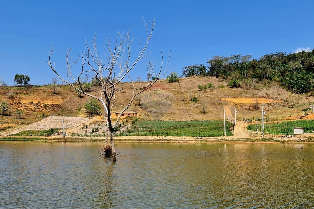 Chácara / Sítio / Fazenda - Venda - Patrocínio do Muriaé , Minas Gerais - 1000322323.jpg - 860371002-115