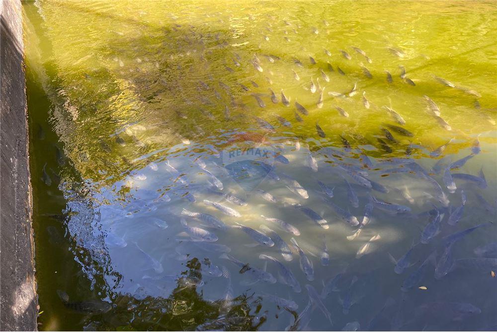 Apartamento - Alugar - Juiz de Fora , Minas Gerais - 35 - 860301009-506