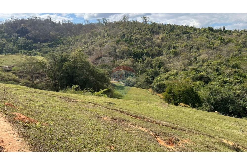 Chácara / Sítio / Fazenda - Venda - Cantagalo , Rio de Janeiro - b2994d43-77cb-47f0-97f3-bb8f16d37571.JPG - 860291041-3