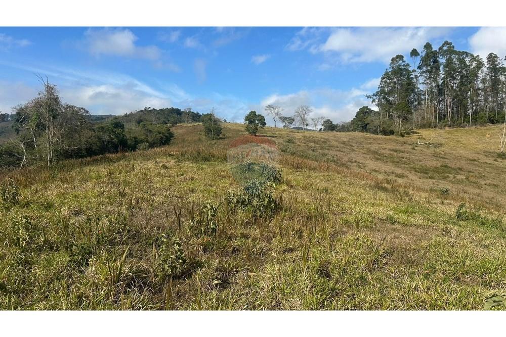 Terreno - Venda - Juiz de Fora , Minas Gerais - 4ea91cf9-d6f3-4381-98ab-659108b28caa.JPG - 860291033-116