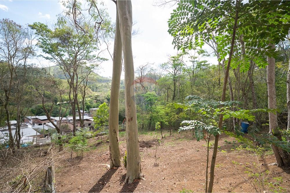 Terreno - Venda - Juiz de Fora , Minas Gerais - michaelseed photo_1103-5.jpg - Área Gourmet - 860211074-39