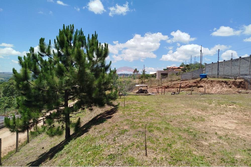 Terreno - Venda - Barbacena , Minas Gerais - IMG_20251112_113134.jpg - 860391012-36