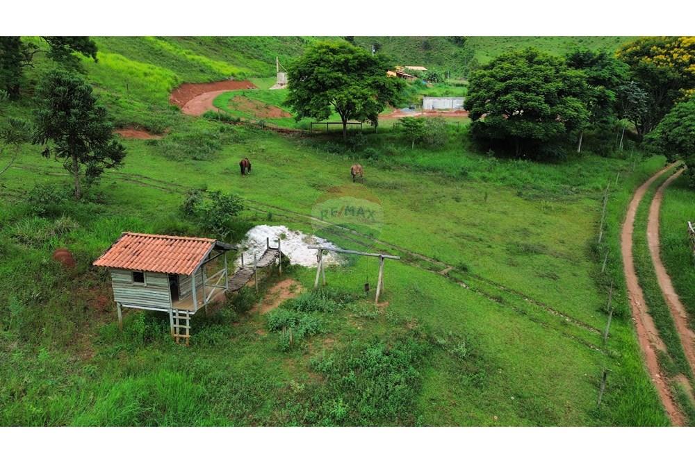 Chácara / Sítio / Fazenda - Venda - Lima Duarte , Minas Gerais - IMG_0980.JPG.jpeg - 860291041-36