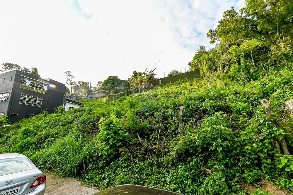 Terreno - Venda - Juiz de Fora , Minas Gerais - michaelseed.photo_ABRIL SEMANA 3-180.jpg - 860281136-6