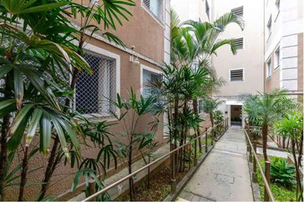 Apartamento - Alugar - Juiz de Fora , Minas Gerais - L_e8451ed9-d37d-4357-8152-414092a19e24.jpg - 860241073-94