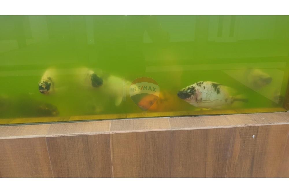 Chácara / Sítio / Fazenda - Venda - Barbacena , Minas Gerais - WhatsApp Image 2025-11-17 at 14.43.28 (5).jpeg - 860391028-24