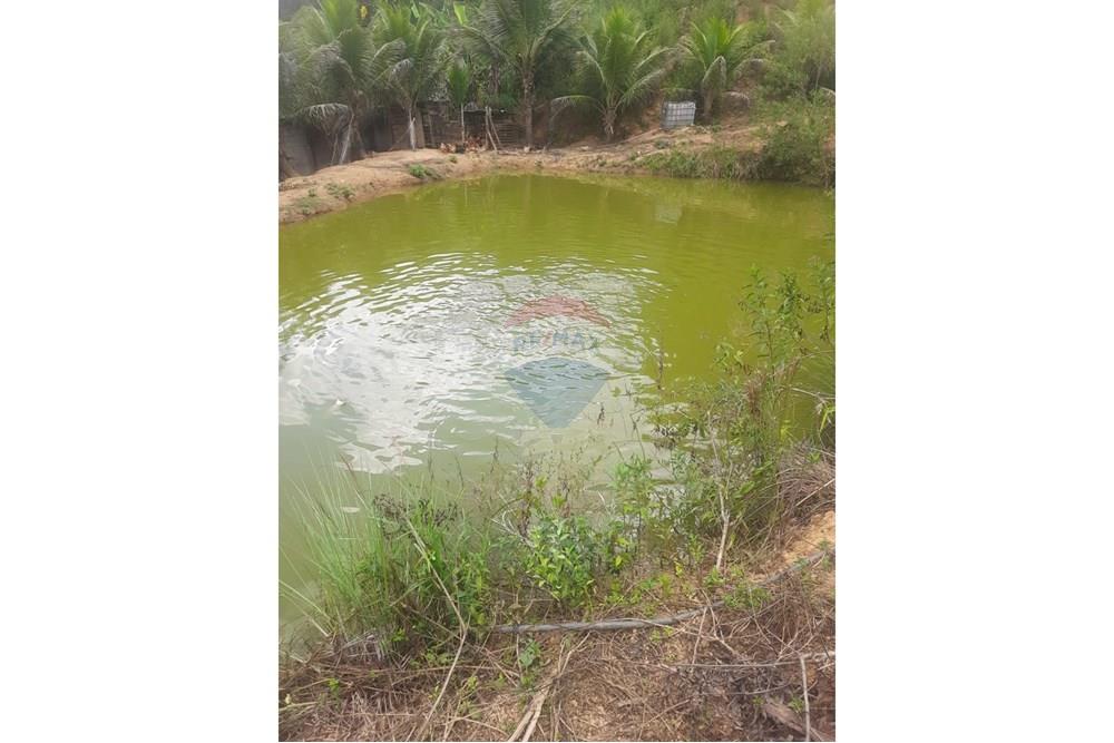 Chácara / Sítio / Fazenda - Venda - Ewbank da Câmara , Minas Gerais - WhatsApp Image 2025-04-09 at 00.41.42.jpeg - 860381070-34