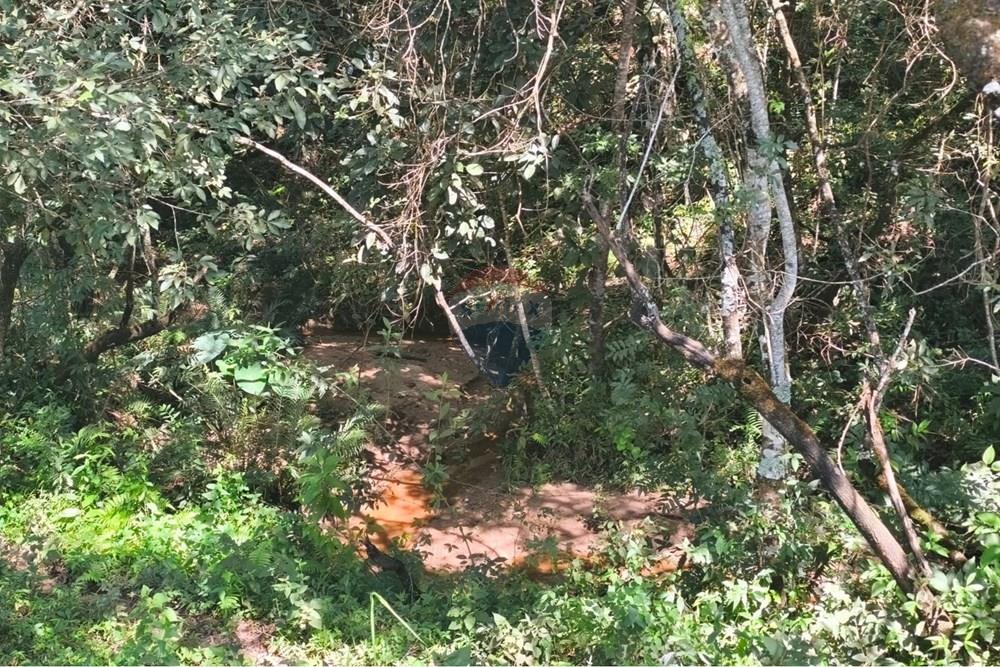 Chácara / Sítio / Fazenda - Venda - Lavras , Minas Gerais - WhatsApp Image 2026-04-08 at 17.33.34 (3).jpeg - 860471037-28