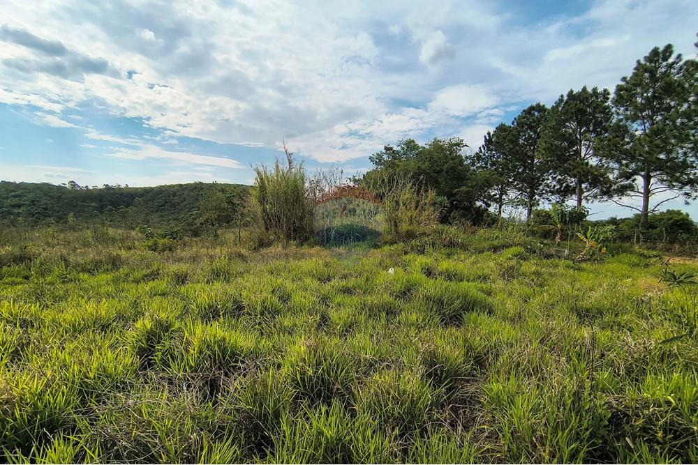 Terreno - Venda - Barbacena , Minas Gerais - IMG_20251029_144832486_HDR.jpg - 860391007-46
