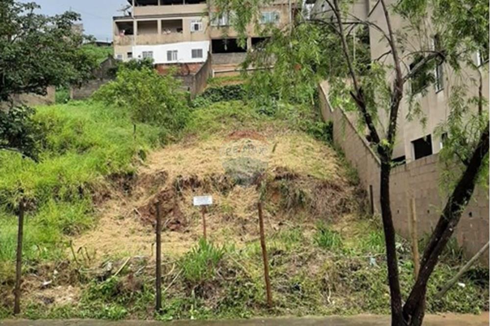 Terreno - Venda - Juiz de Fora , Minas Gerais - WhatsApp Image 2025-11-10 at 11.48.59.jpeg - 860281158-1