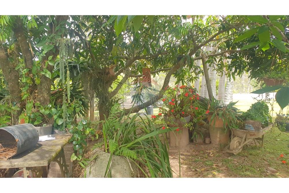 Chácara / Sítio / Fazenda - Venda - Barbacena , Minas Gerais - WhatsApp Image 2025-11-17 at 14.43.28 (19).jpeg - 860391028-24