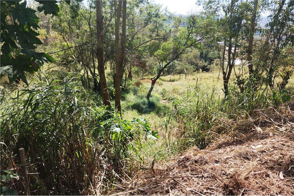 Terreno - Venda - Barbacena , Minas Gerais - 8 - 860391002-86