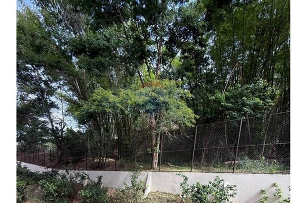 Apartamento - Alugar - Juiz de Fora , Minas Gerais - VISTA QUARTO.jpeg - 860291008-42