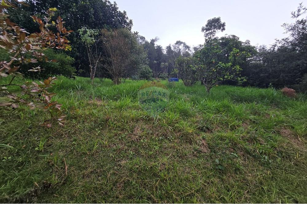 Chácara / Sítio / Fazenda - Venda - Juiz de Fora , Minas Gerais - 37.jpg - 860381070-74