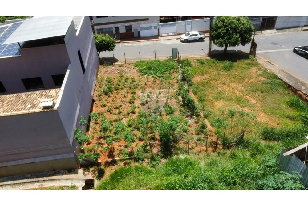 Terreno - Venda - Muriaé , Minas Gerais - IMG-20251104-WA0007.jpg - Jardim Externo - 860371029-13