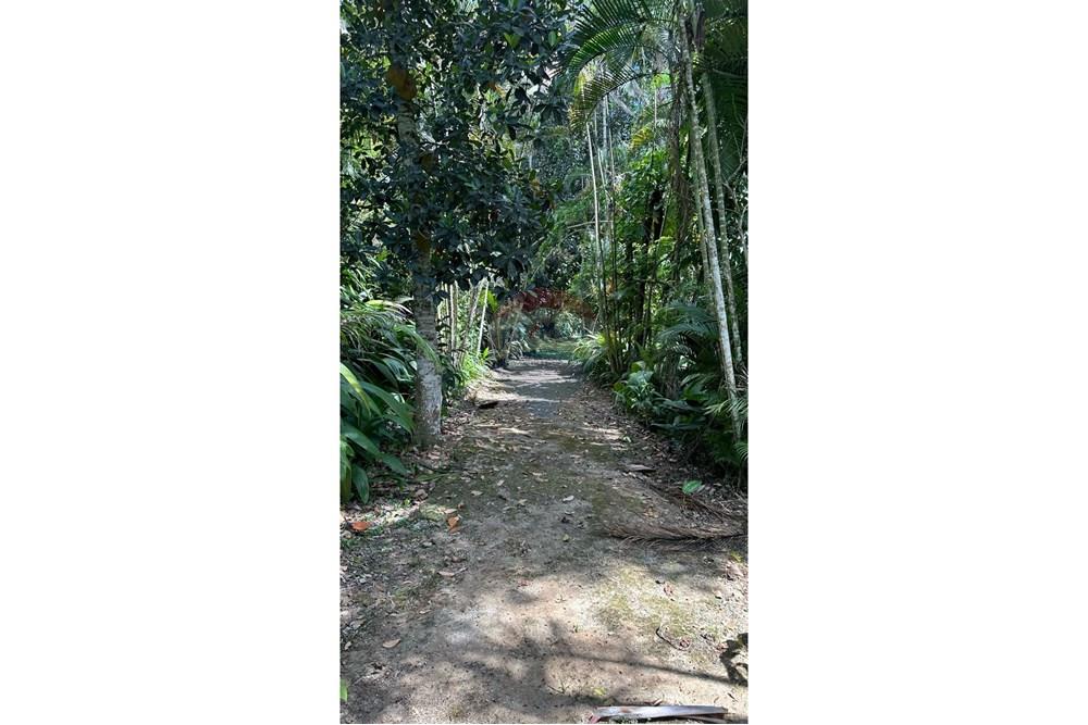 Chácara / Sítio / Fazenda - Venda - Matias Barbosa , Minas Gerais - 5113745a-20ea-4bb7-bb62-5125aab113f6.JPG - 860291033-99