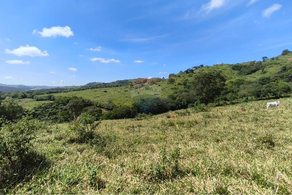 Chácara / Sítio / Fazenda - Venda - Lavras , Minas Gerais - WhatsApp Image 2026-04-08 at 17.33.36 (1).jpeg - 860471037-28