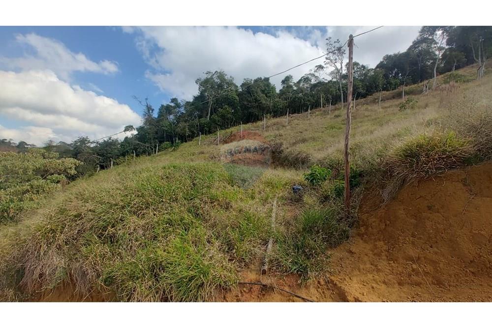 Terreno - Venda - Juiz de Fora , Minas Gerais - 4d2e2fd2-cf01-41fc-be49-836351d910db.JPG - 860291041-13