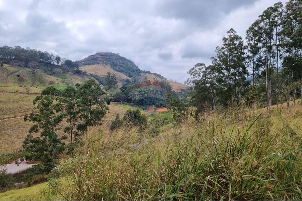 Terreno - Venda - Juiz de Fora , Minas Gerais - IMG-20250729-WA0024.jpg - 860211131-9