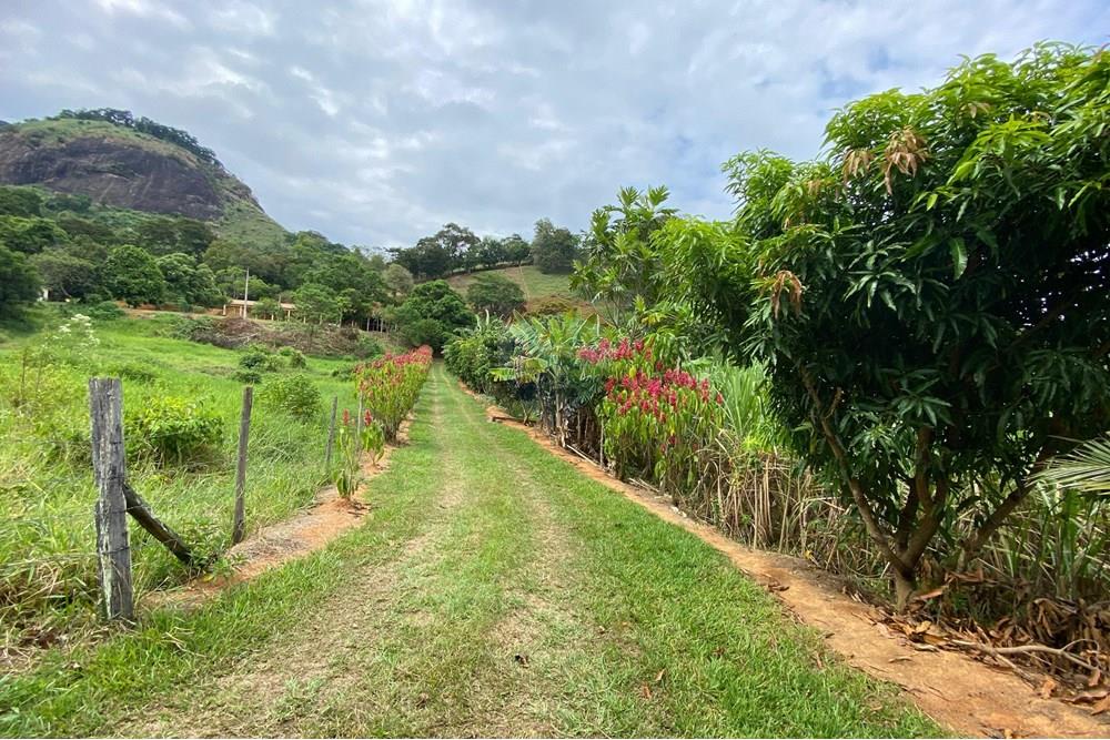 Chácara / Sítio / Fazenda - Venda - Muriaé , Minas Gerais - IMG-20250316-WA0151.jpg - 860371002-116