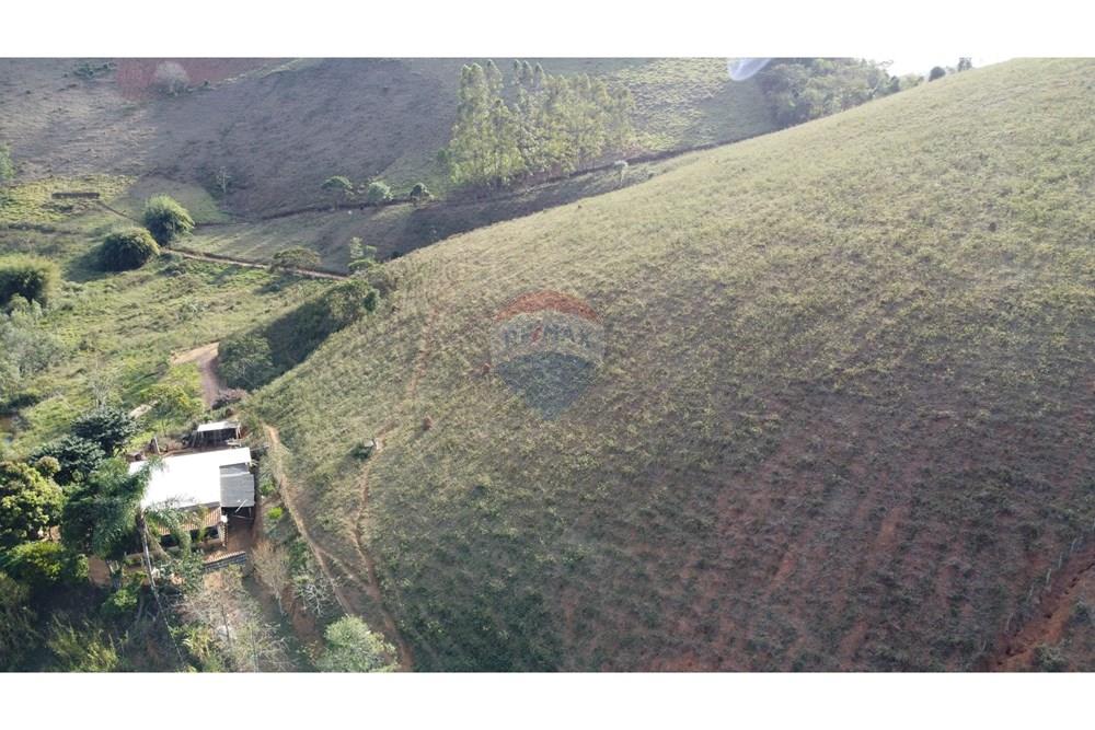 Chácara / Sítio / Fazenda - Venda - Ewbank da Câmara , Minas Gerais - WhatsApp Image 2025-02-19 at 16.44.55 (1).jpeg - 860301045-274