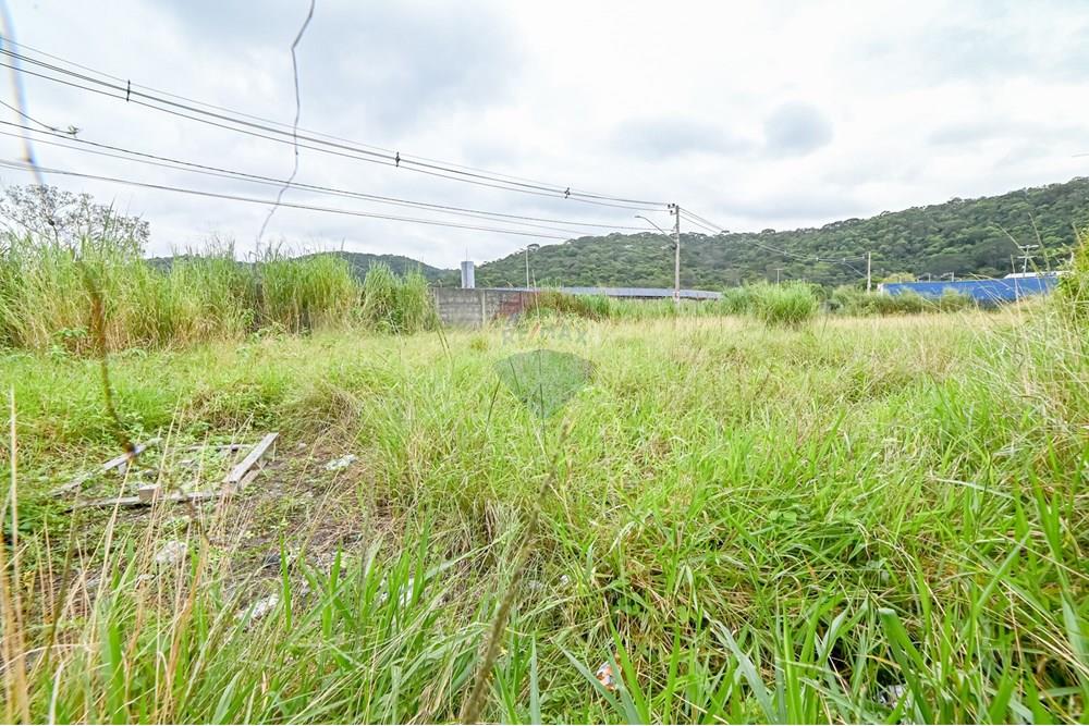 Terreno - Venda - Juiz de Fora , Minas Gerais - michaelseed photo_ SEMANA 5 - DIA 2-8.jpg - 860431060-33