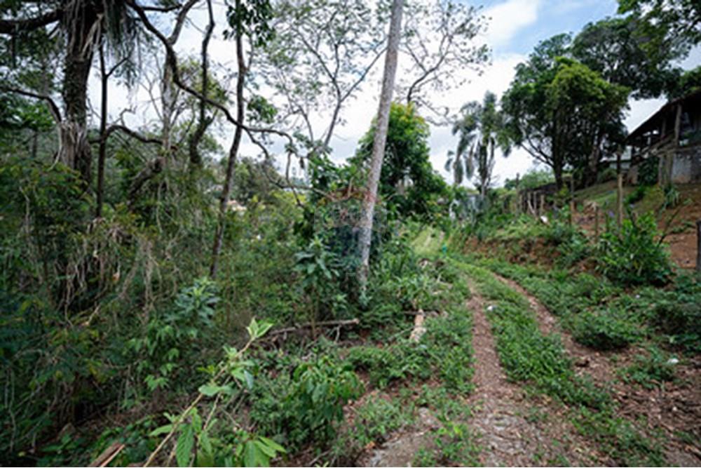 Terreno - Venda - Juiz de Fora , Minas Gerais - saogeraldo12.jpg - 860271016-9