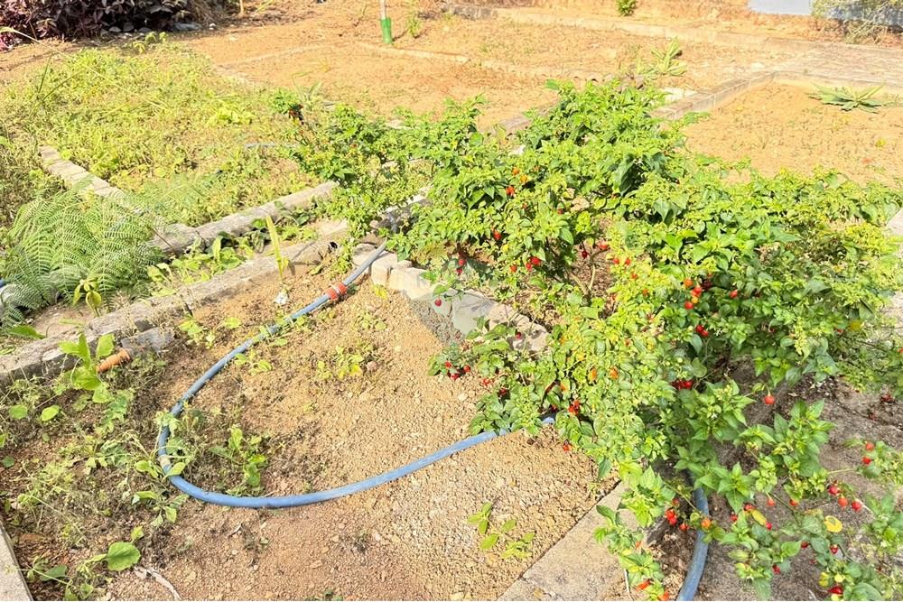 Casa - Venda - Juiz de Fora , Minas Gerais - IMG_4467.JPEG - 860301001-593