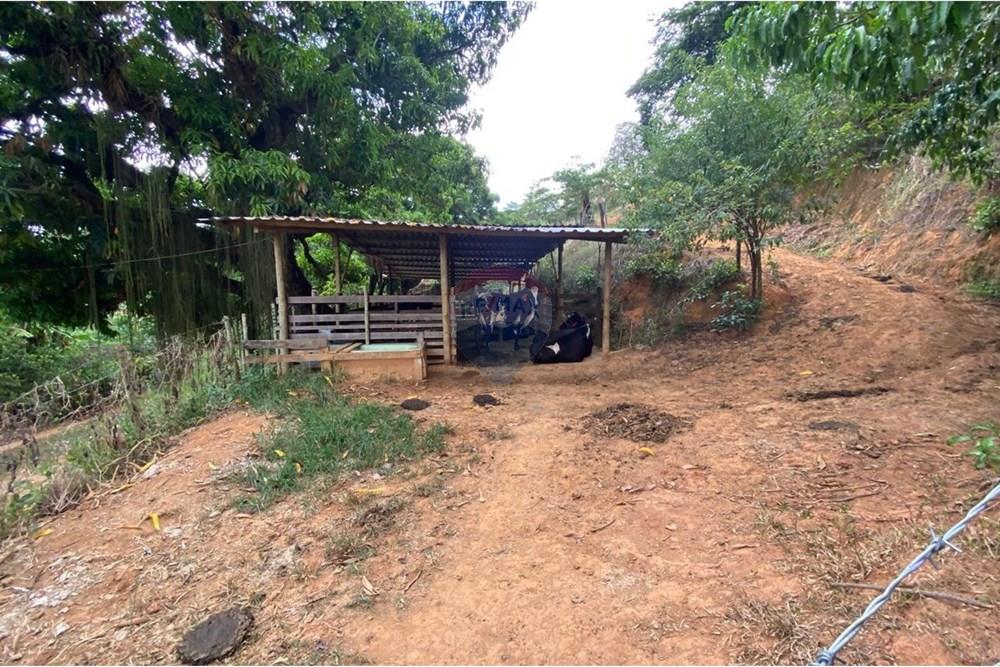 Chácara / Sítio / Fazenda - Venda - Muriaé , Minas Gerais - WhatsApp Image 2025-03-24 at 12.32.20 (1).jpeg - 860371002-116