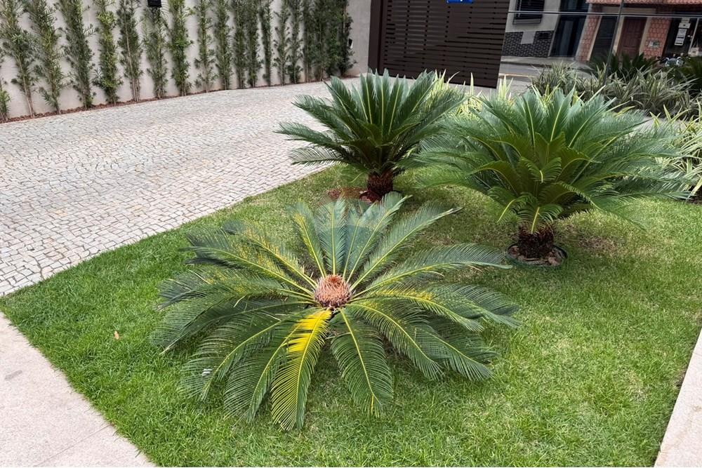 Apartamento - Alugar - Juiz de Fora , Minas Gerais - IMG_6388.JPEG - 860301001-653