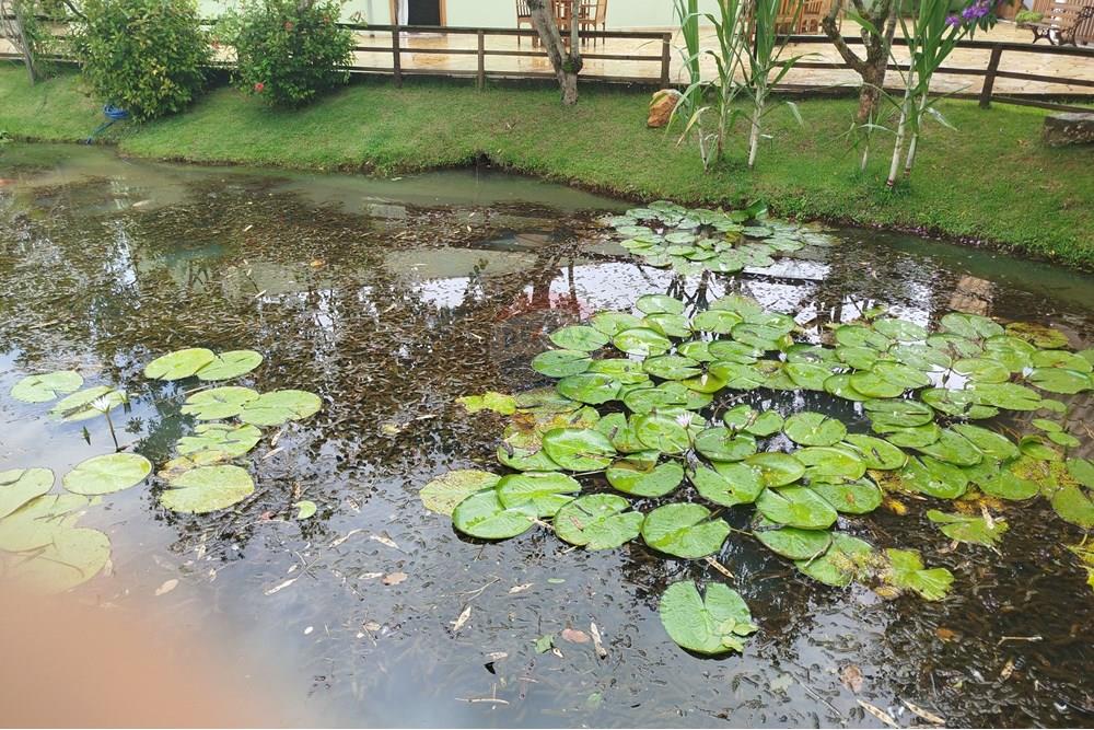 Hotel/ Pousada - Venda - Tiradentes , Minas Gerais - IMG_20250131_115009.jpg - 860391012-33